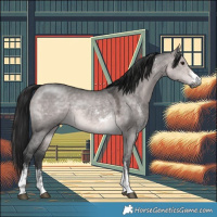 Horse Color:Gray Platinum Buckskin Dun Sabino