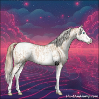 Horse Color:Chocolate Palomino Pearl Sabino Varnish Rabicano and Buckskin Pearl Sabino Varnish Rabicano