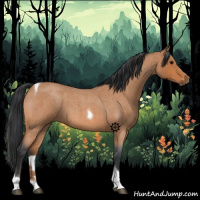 Horse Color:Bay Roan Tobiano