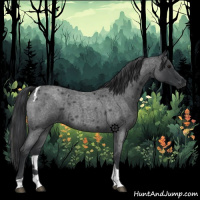 Horse Color:Blue Roan Tobiano 