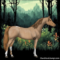 Horse Color:Red Roan Tobiano