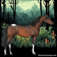 Horse Color:Bay Roan Tobiano 