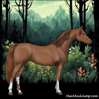 Horse Color:Red Roan Tobiano 