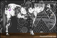 Horse Color:Blue Roan Tobiano Snowflake Varnish  and Black Frame Near Leopard 