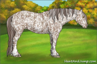 Horse Color:Classic Champagne Snowflake Varnish  and Classic Champagne Snowflake Varnish 