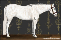 Horse Color:Smoky Creme Sabino Near Leopard  and Smoky Creme Roan Blanket 