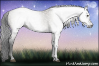 Horse Color:Gray Grullo
