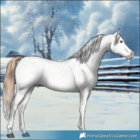 Horse Color:Bay Dun Near Leopard  and Bay Dun Near Leopard Rabicano 