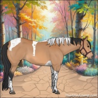 Horse Color:Bay Tobiano 