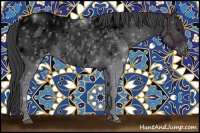 Horse Color:Void Black Appaloosa 