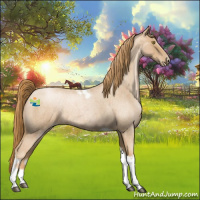 Horse Color:Red Roan Pearl Tobiano Frame 