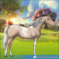 Horse Color:Silver Blue Roan Pearl Splash Tobiano Frame 