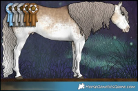Horse Color:White Spotted Chocolate Silver Buckskin Dun Splash 
