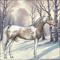 Horse Color:White Spotted Liver Red Dun Mushroom Tobiano 
