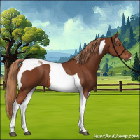 Horse Color:Chestnut Tobiano 