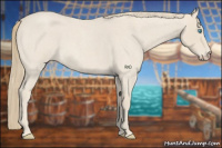 Horse Color:Smoky Creme Roan 