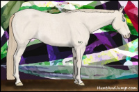 Horse Color:Smoky Creme Roan 