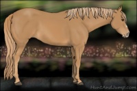 Horse Color:Chestnut Splash Frame 