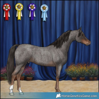 Horse Color:Liver Red Roan 