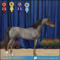 Horse Color:Liver Red Roan 