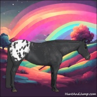 Horse Color:Black Appaloosa 