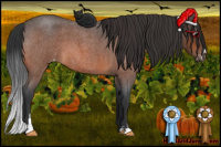 Horse Color:Bay Roan Sabino Varnish 