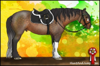 Horse Color:Buckskin Roan 