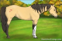 Horse Color:Unknown 