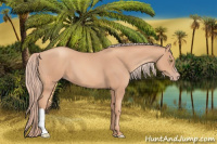 Horse Color:Gold Champagne