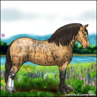 Horse Color:Buckskin Blanket and Buckskin