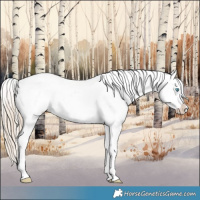 Horse Color:Chocolate Palomino Pearl Sabino Appaloosa Rabicano  and Gray Chocolate Palomino Pearl Sabino Appaloosa Rabicano 