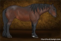 Horse Color:Brown 