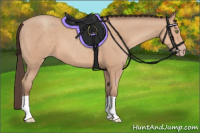 Horse Color:Amber Champagne 