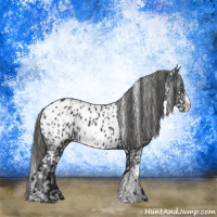 Horse Color:Black Near Leopard and Black Near Leopard