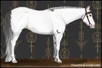 Horse Color:White Spotted Bay Dun Rabicano  and White Spotted Bay Dun Rabicano 