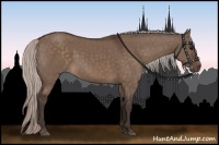 Horse Color:Silver Brown Dun 