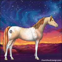Horse Color:Painted Silver Grullo Pearl Tobiano Rabicano 