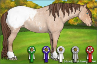 Horse Color:Amber Champagne Roan Snowcap Rabicano 
