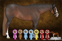 Horse Color:Liver Red Roan Sabino 