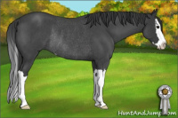 Horse Color:Blue Roan Sabino Splash Rabicano 
