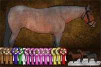 Horse Color:Brown Roan Rabicano 