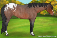 Horse Color:Brown Roan Sabino Blanket 