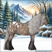 Horse Color:Silver Brown Dun Appaloosa 