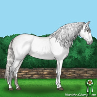 Horse Color:Gray Silver Brown Roan Dun Tobiano 