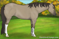 Horse Color:Smoky Grullo 
