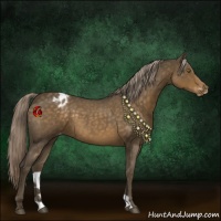 Horse Color:Chocolate Palomino Roan Varnish 