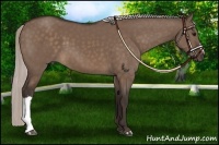 Horse Color:Silver Brown Dun