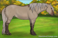 Horse Color:Silver Brown Dun 