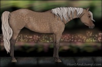 Horse Color:Silver Brown Dun 
