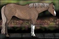 Horse Color:Silver Brown Dun 